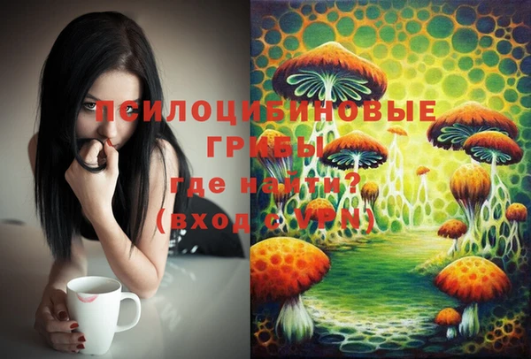 стафф Новочеркасск