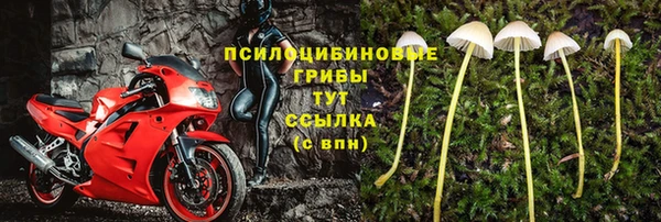 стафф Новочеркасск