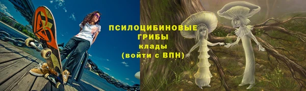 ПСИЛОЦИБИНОВЫЕ ГРИБЫ Волгодонск