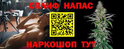 крисы Абакан