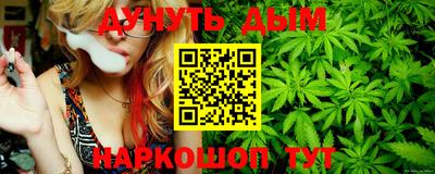 крисы Абакан