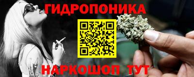 крисы Абакан