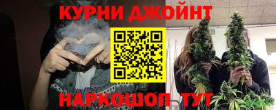 крисы Абакан