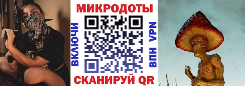 Псилоцибиновые грибы Psilocybine cubensis  Пермь 