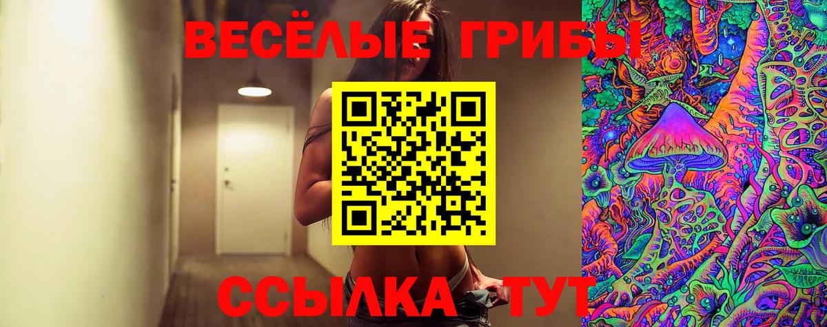 Псилоцибиновые грибы прущие грибы Россия