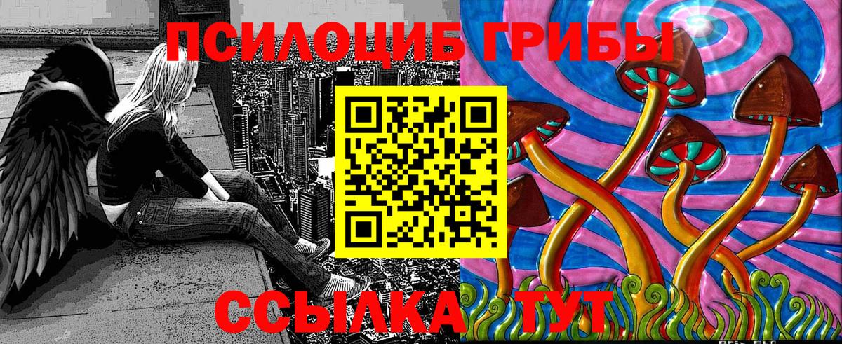 Галлюциногенные грибы мицелий Россия