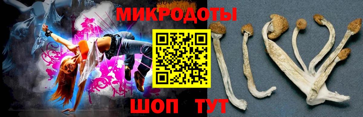 Псилоцибиновые грибы GOLDEN TEACHER  Вход с VPN  Псилоцибиновые грибы Cubensis  Россия 